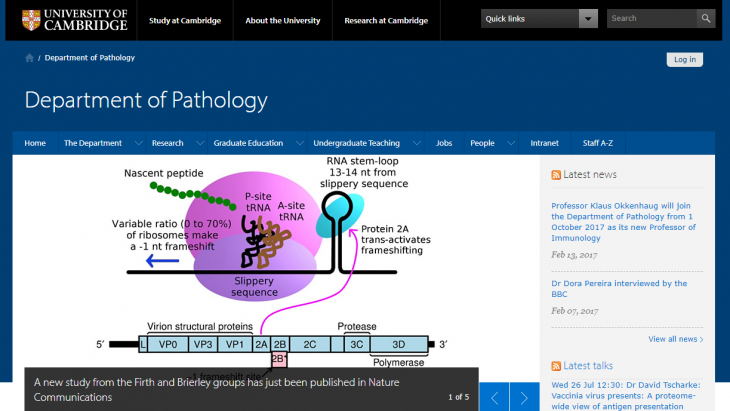 University of Cambridge Department of Pathology PhD Studentship