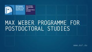 Max Weber Programme Fellowship at the European University Institute (EUI)