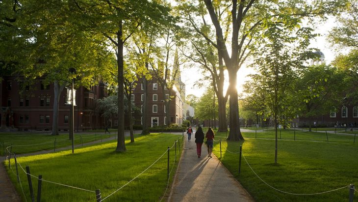 Harvard Summer School 3