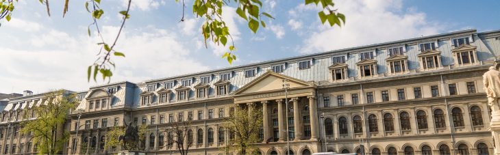 The Research Institute of the University of Bucharest